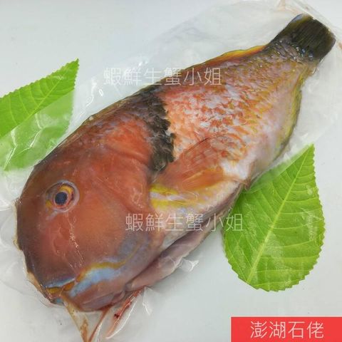 d97e0589834cdcb8178558b7c1bcd0e9