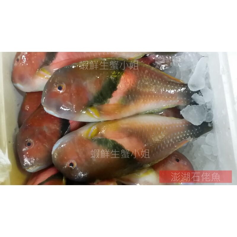 d100c5dec6e1eafcfdc567a01ed9c36c