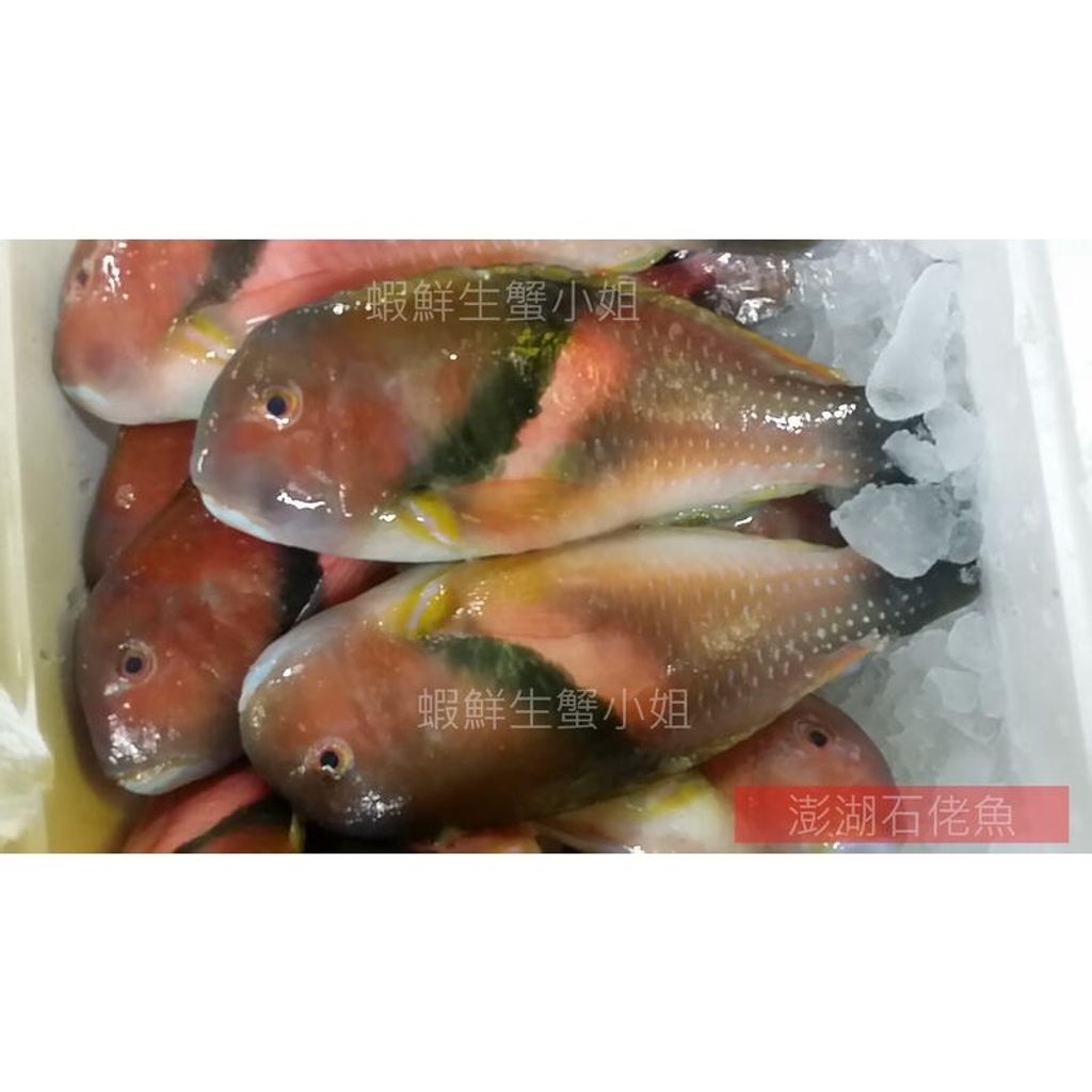 d100c5dec6e1eafcfdc567a01ed9c36c