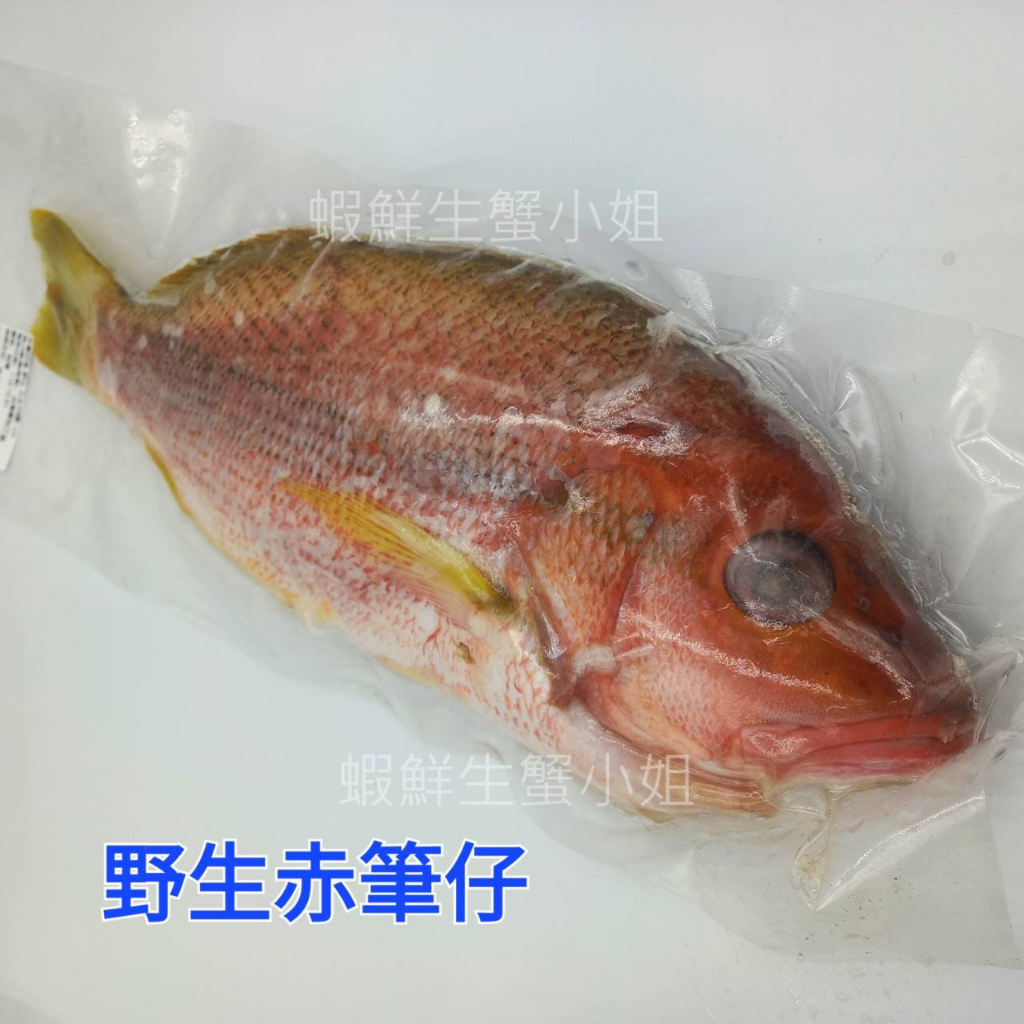 tw-11134207-23020-ahtgn84npvnv3f