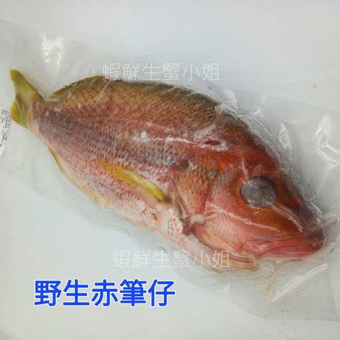 tw-11134207-23020-ahtgn84npvnv3f