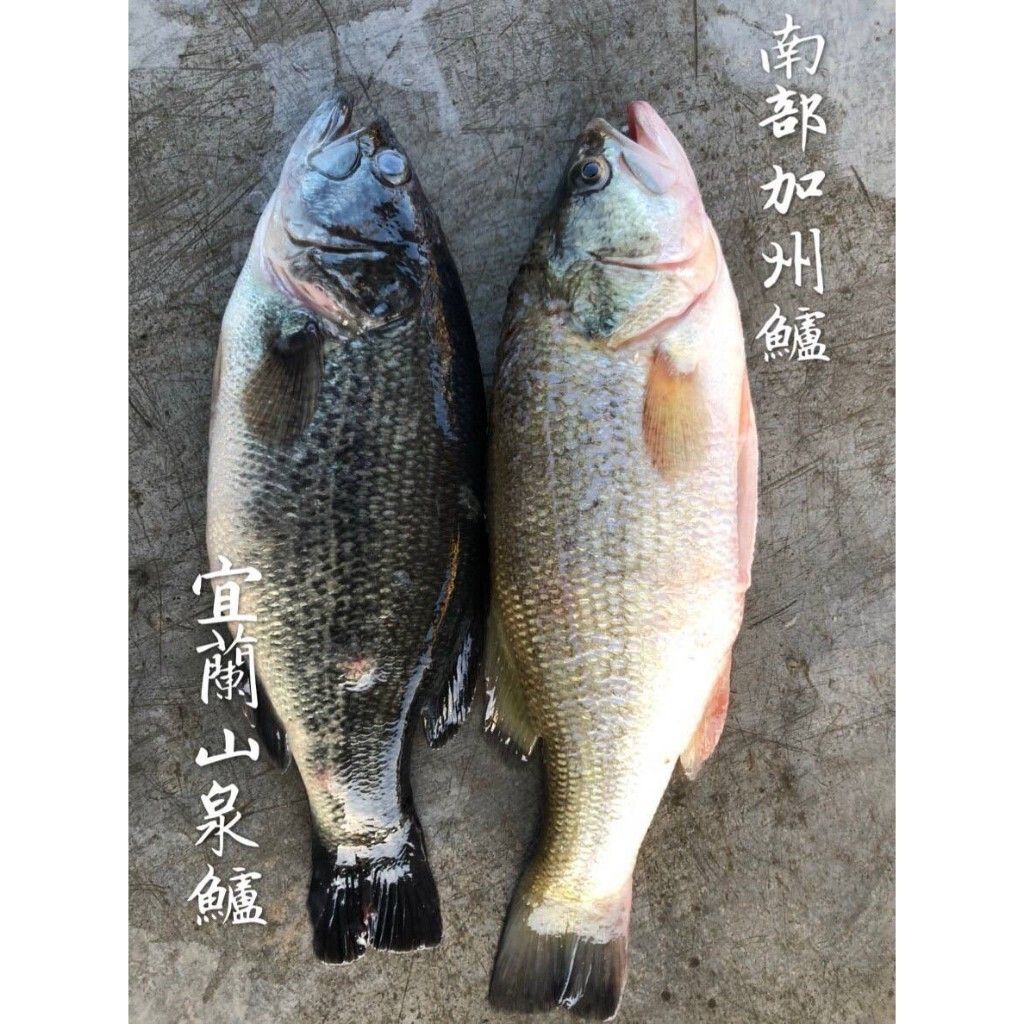 tw-11134207-7rask-m3ypqzekax1c8b