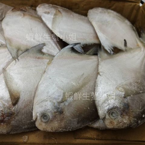 tw-11134207-81ztq-mf2cb66x8v0qfd