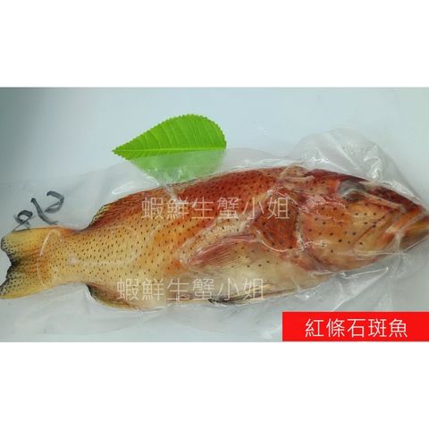 724a4150611a9d9905ae3f7aea057b2f