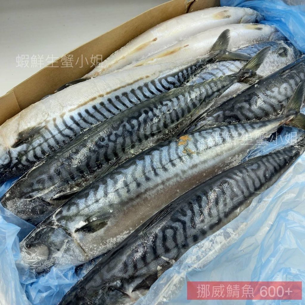 59a45940ecca13759f5cc64270892959