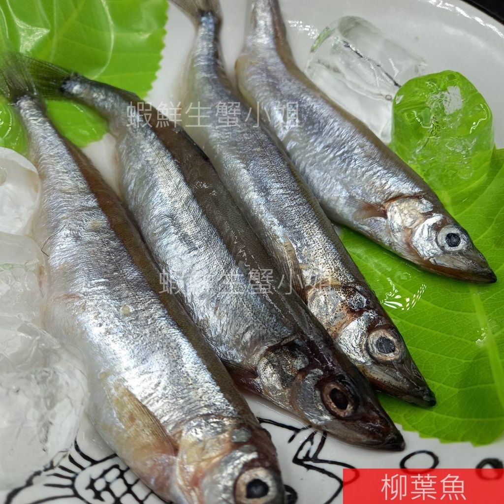 437f65d66b42d3f06b35b554582402eb