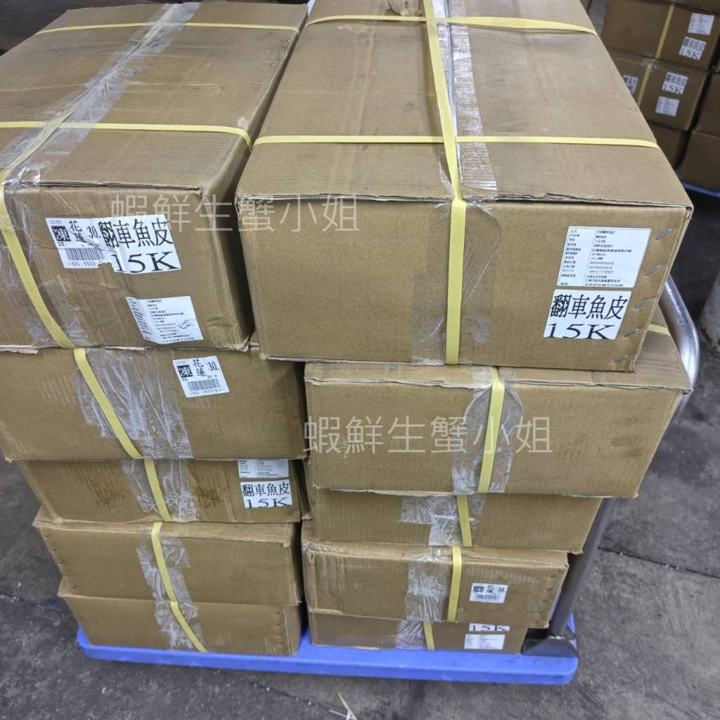 tw-11134207-81zte-mi16tseltama2d