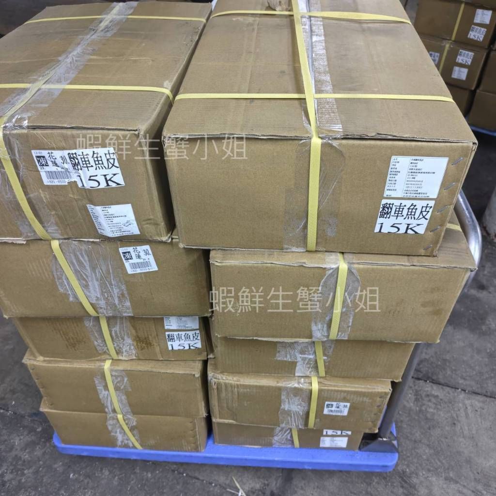 tw-11134207-81zte-mi16tseltama2d