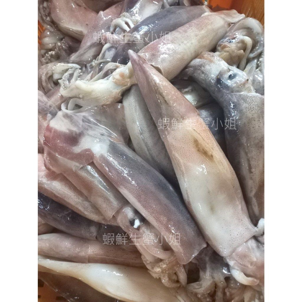 tw-11134207-7r990-lvipy79hj4a689