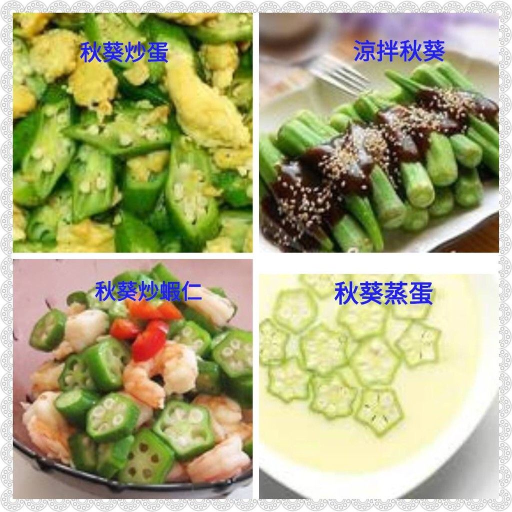c7facf5e4692c4ff179a38c51186851a