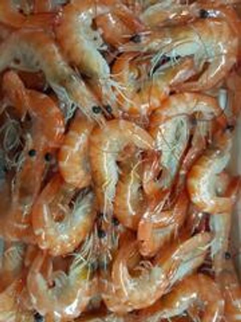 W1siZiIsIjE2NTk0L3Byb2R1Y3RzLzM2NTQ1NjU5LzE2NDg1MzQwOTFfZjFlODlmYzVkNDE1YWU3YmJmOTAuanBlZyJdLFsicCIsInRodW1iIiwiMjQweDI0MCJdXQ