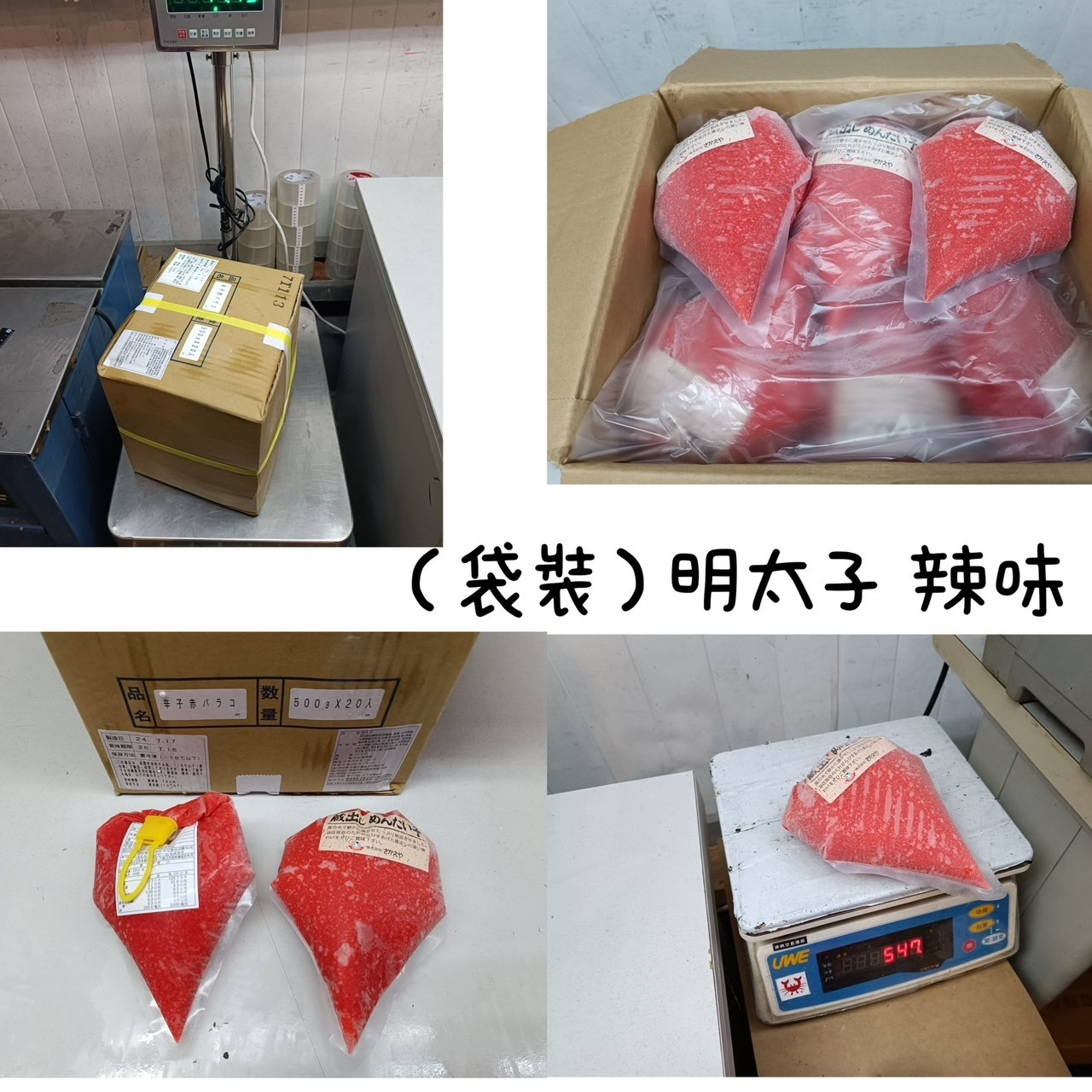 S__53231725