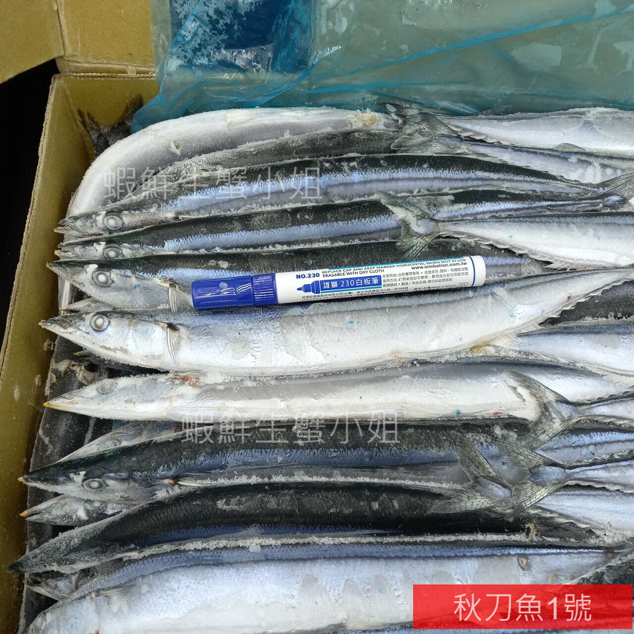秋刀魚1號 (1)