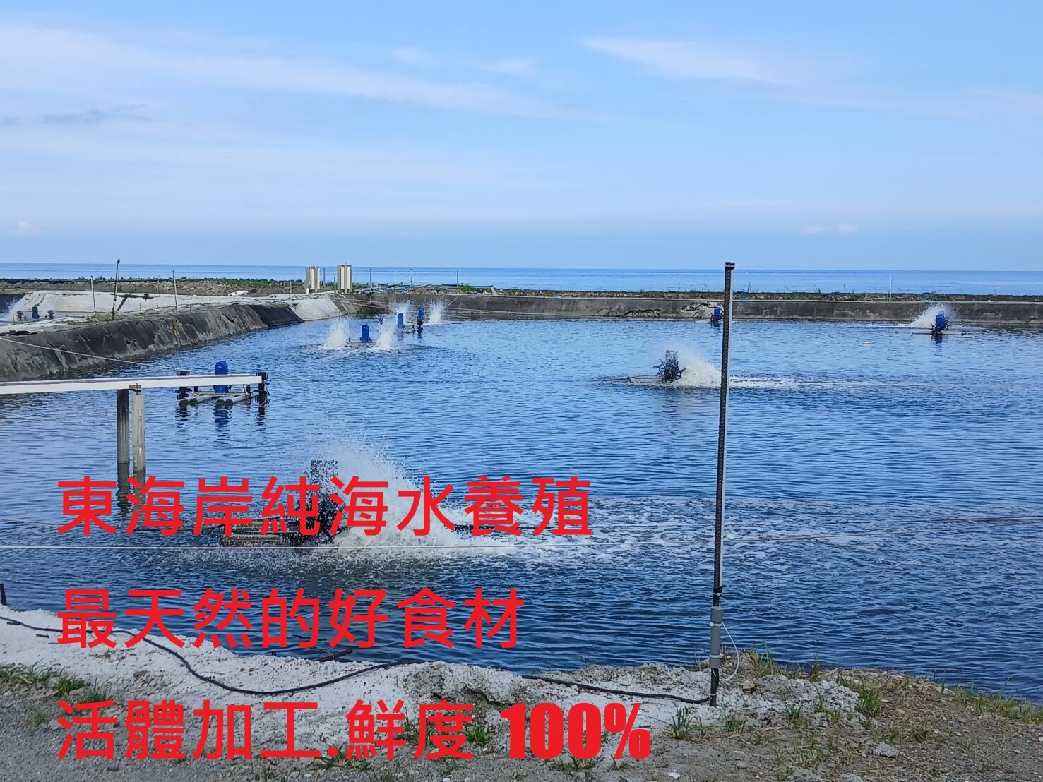 養殖場照片