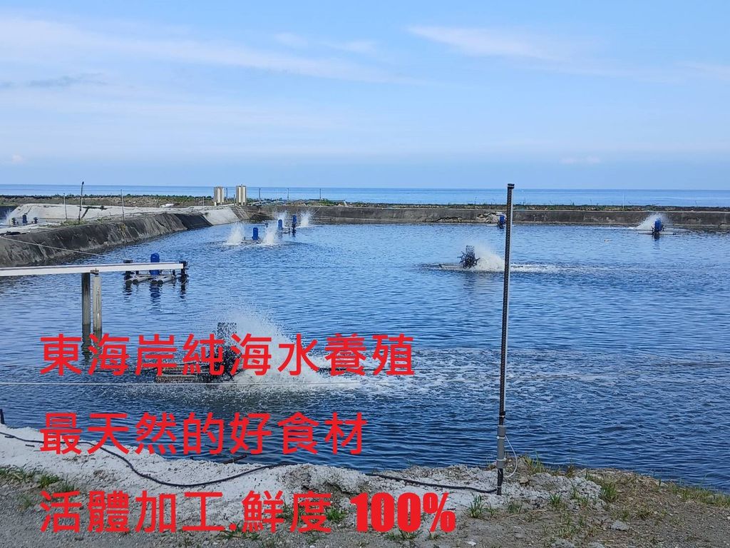 養殖場照片