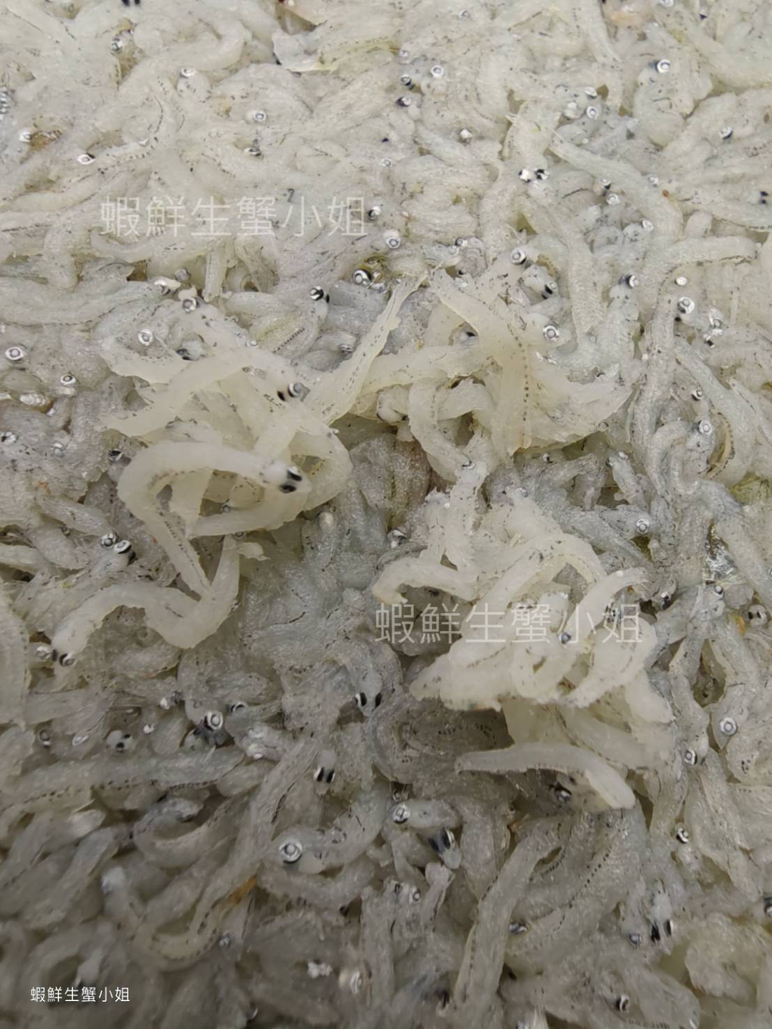熟凍吻仔魚 100克60包箱 (4)