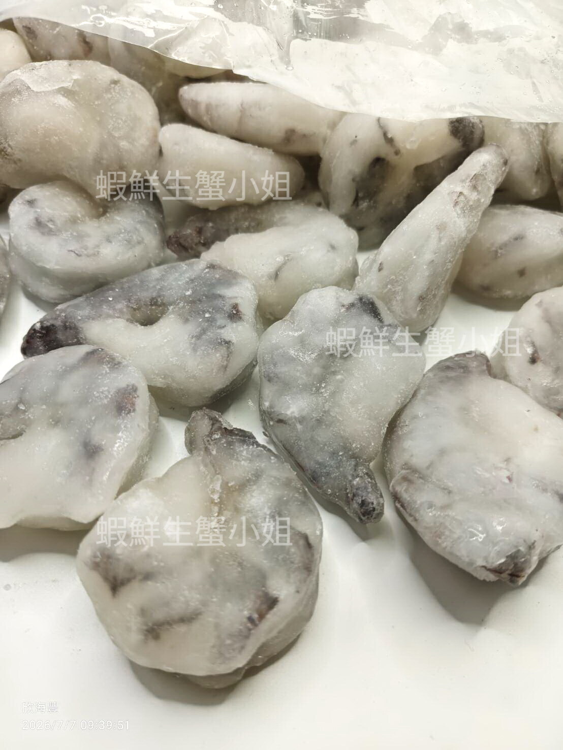 草蝦仁割背13-15 (2)