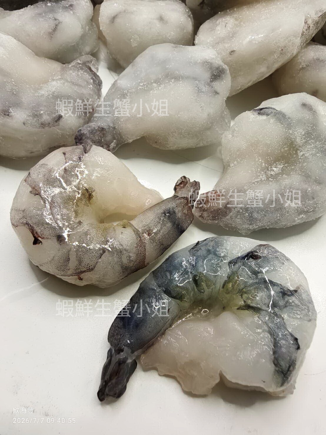 草蝦仁割背13-15 (3)