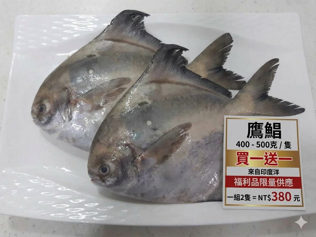 鷹鯧