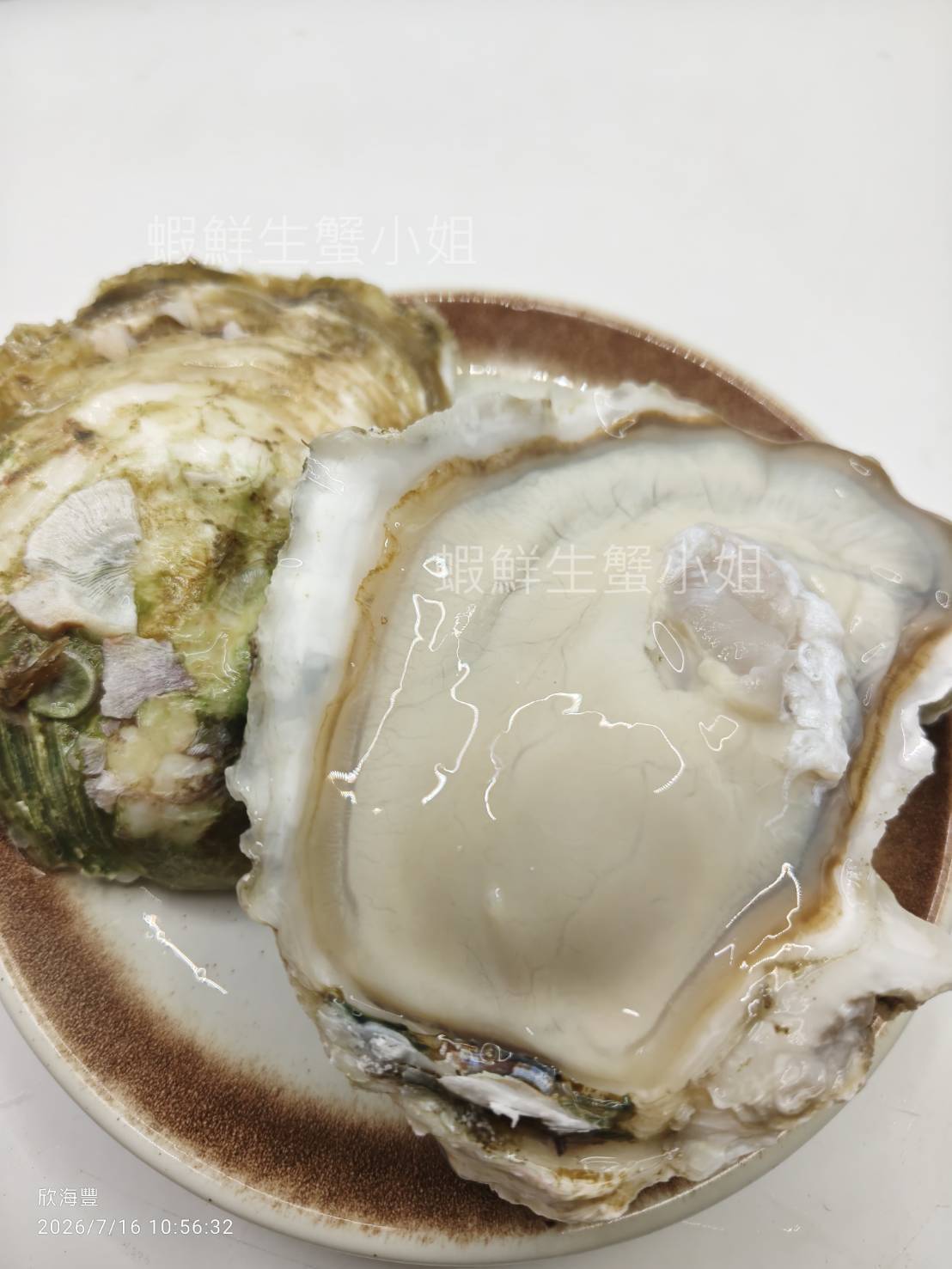 全殼生蠔-5L