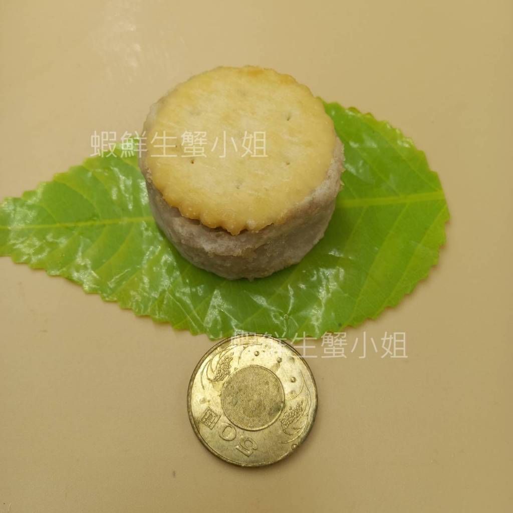 tw-11134207-81zto-me81qhaw19tx1f