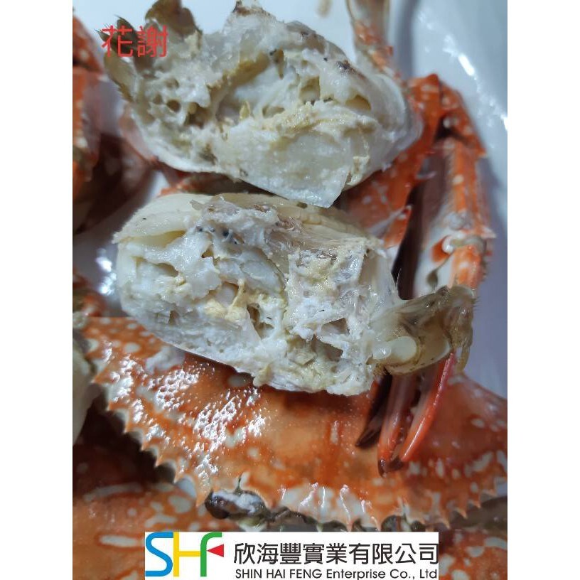 ecc6d1bb6005b55669cc81fc6d642d20