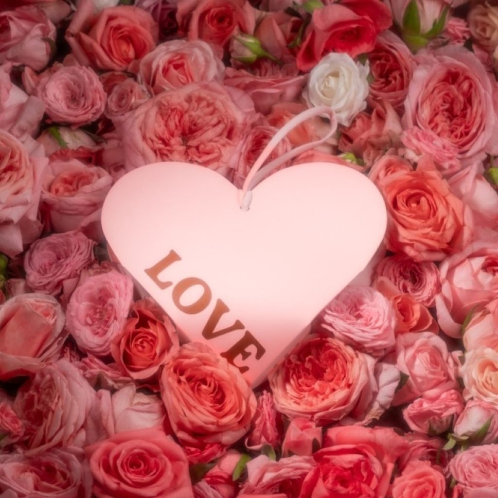 限定款玫瑰香氛掛盒 (1)