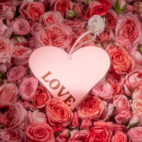 限定款玫瑰香氛掛盒 (1)