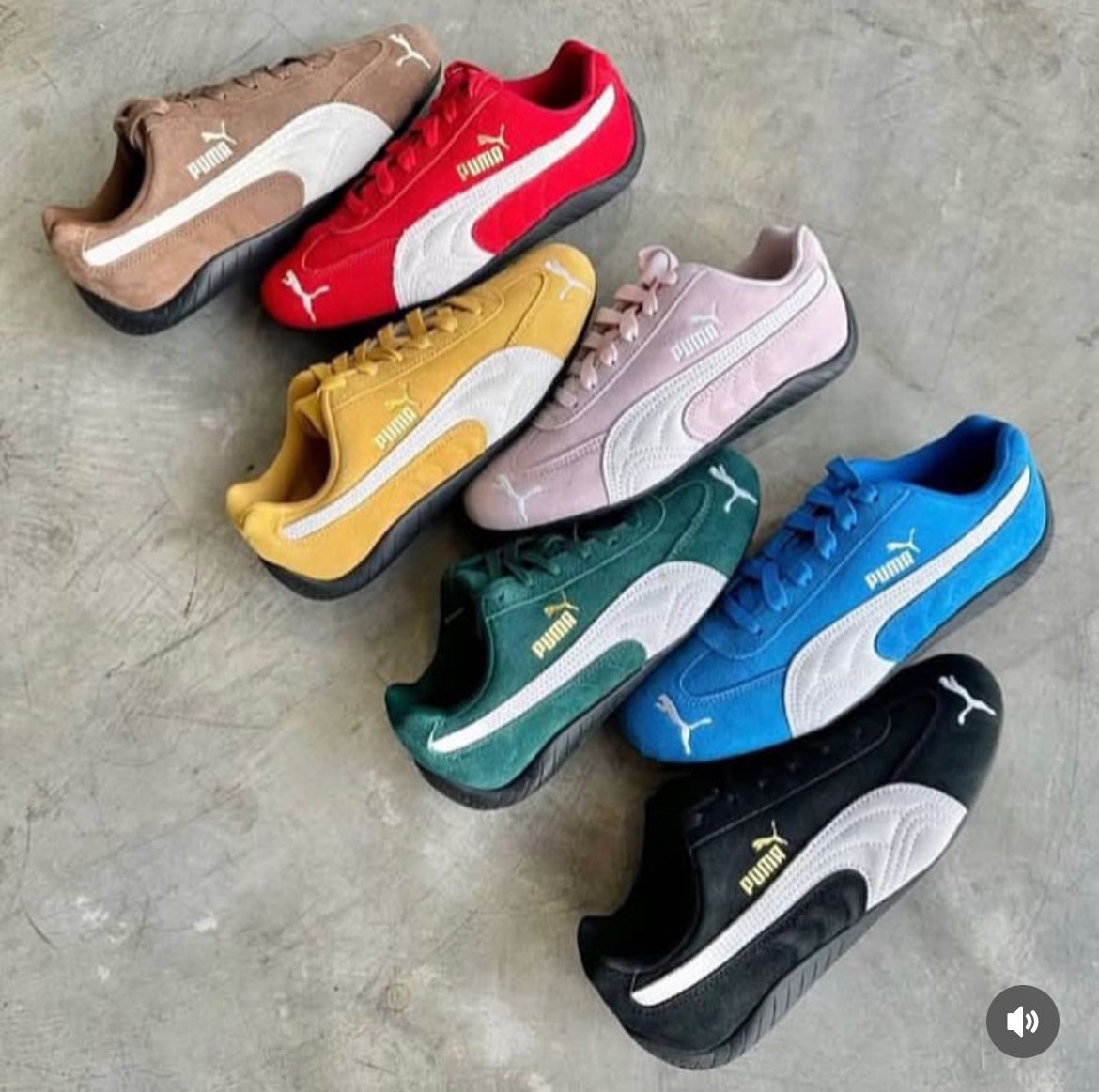 Puma