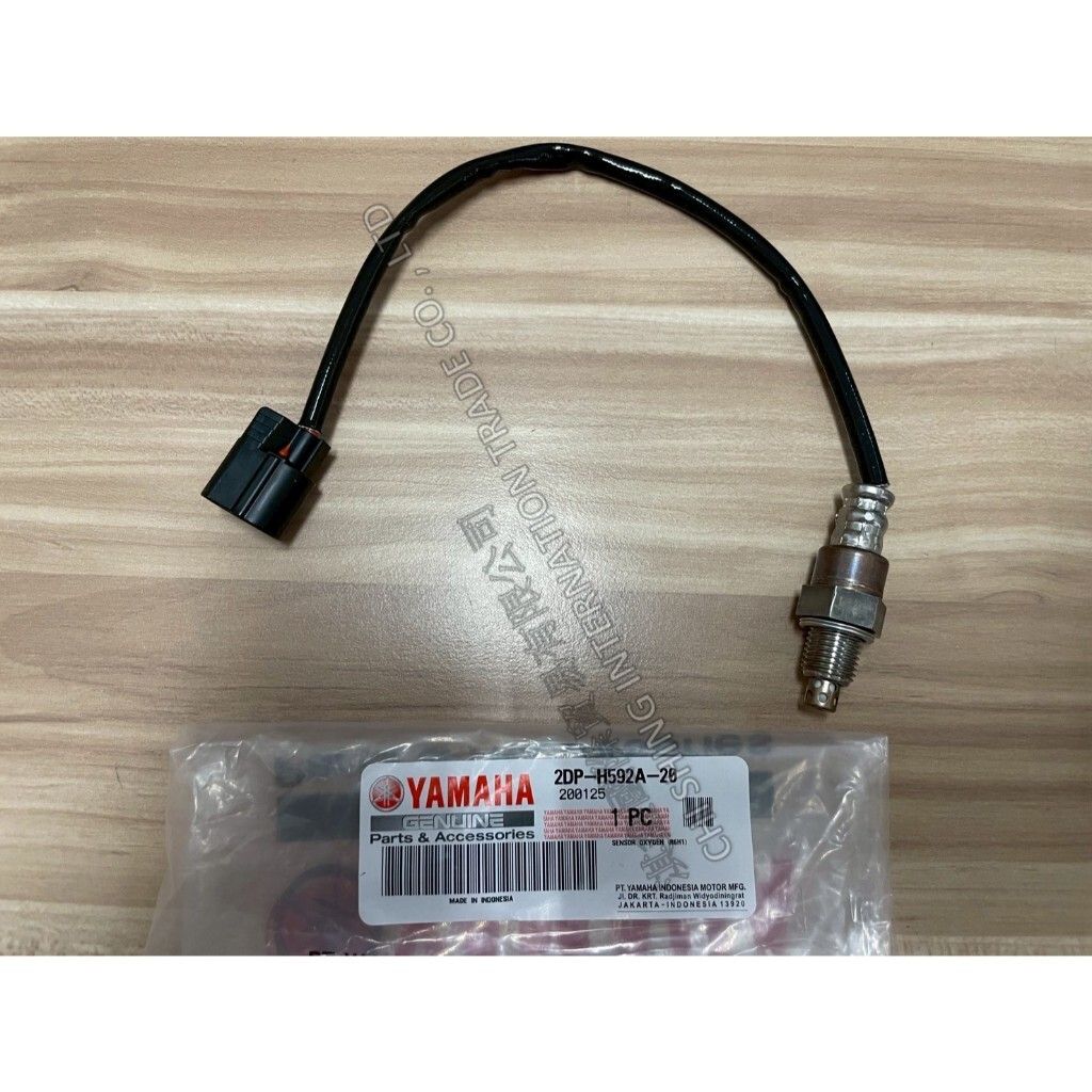 tw-11134207-7ra0i-mbp1jmdctjjt6f