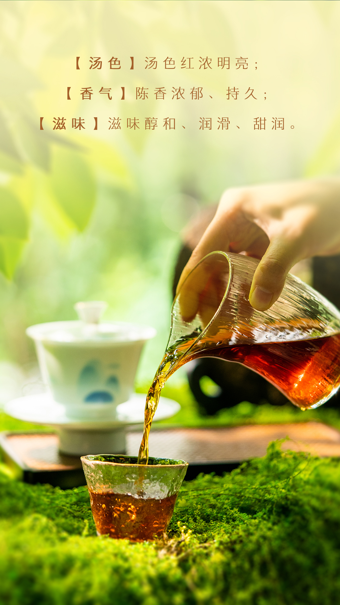 源知味熟饼Source-Knows-Taste-Ripe-Tea-2301-(Detail-Page详情页)(CN-中文)_05