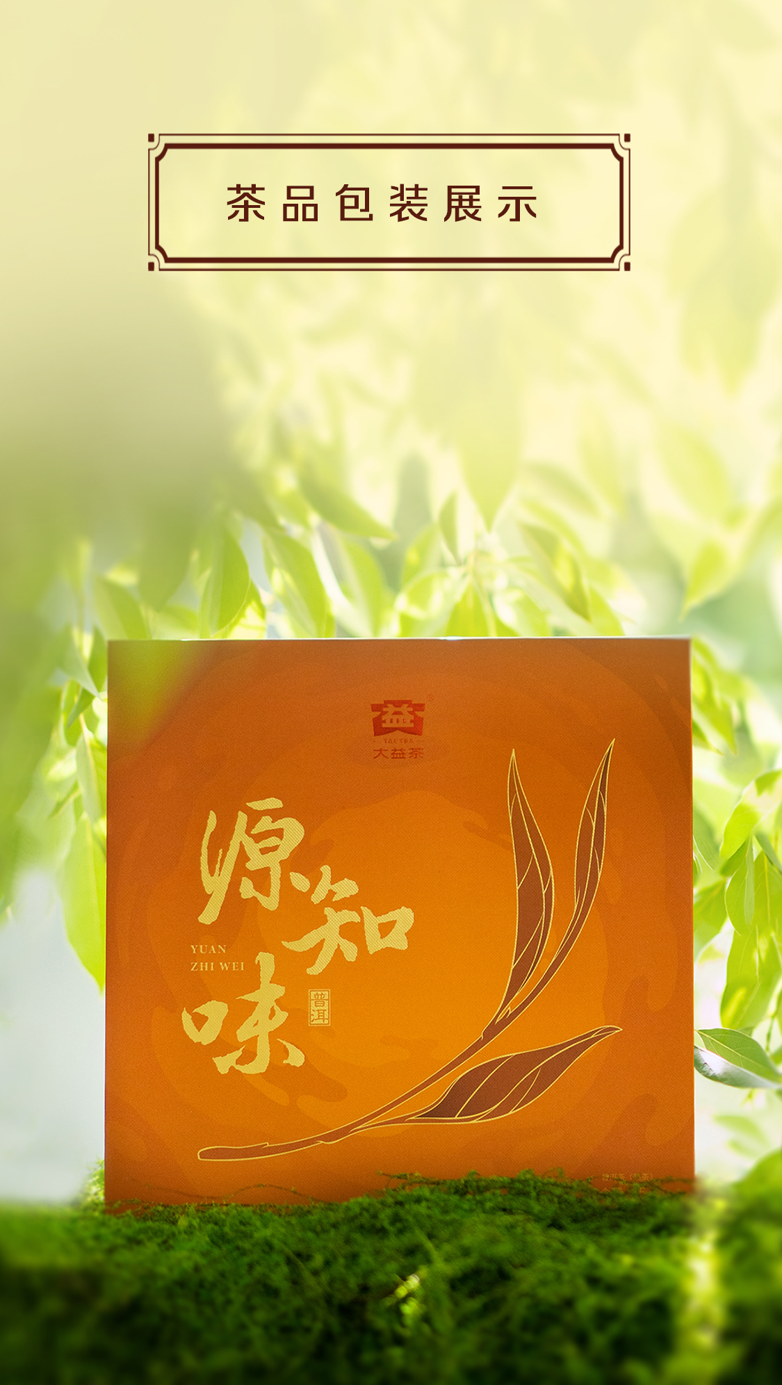 源知味熟饼Source-Knows-Taste-Ripe-Tea-2301-(Detail-Page详情页)(CN-中文)_06