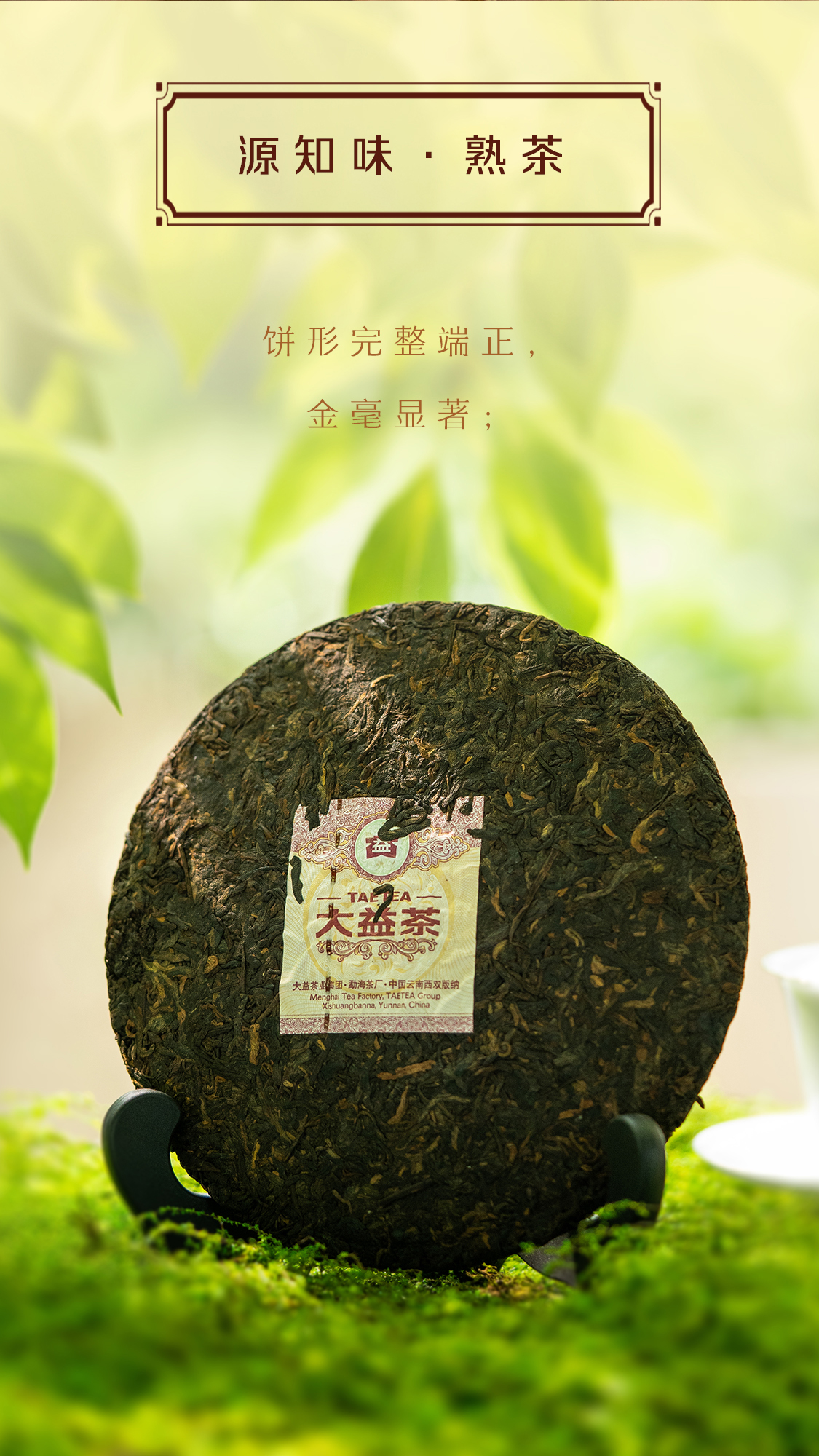 源知味熟饼Source-Knows-Taste-Ripe-Tea-2301-(Detail-Page详情页)(CN-中文)_04