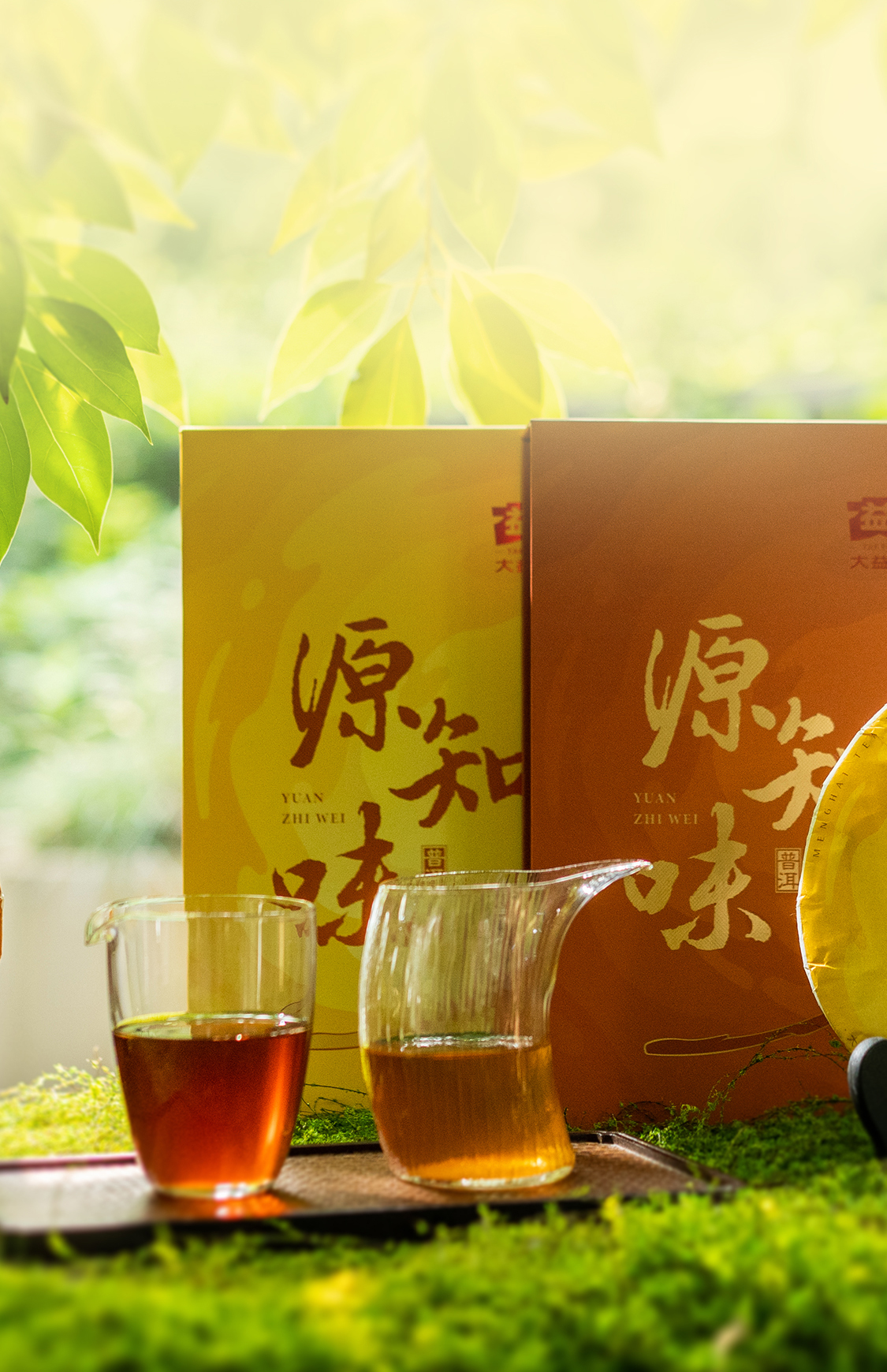 源知味熟饼Source-Knows-Taste-Ripe-Tea-2301-(Detail-Page详情页)(CN-中文)_08
