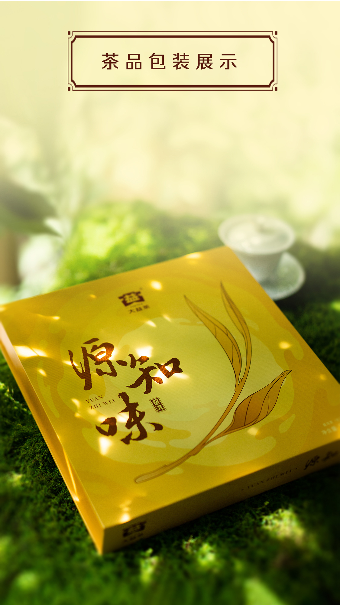 源知味生饼Source-Knows-Taste-Raw-Tea-2301-(Detail-Page详情页)(CN-中文)_06