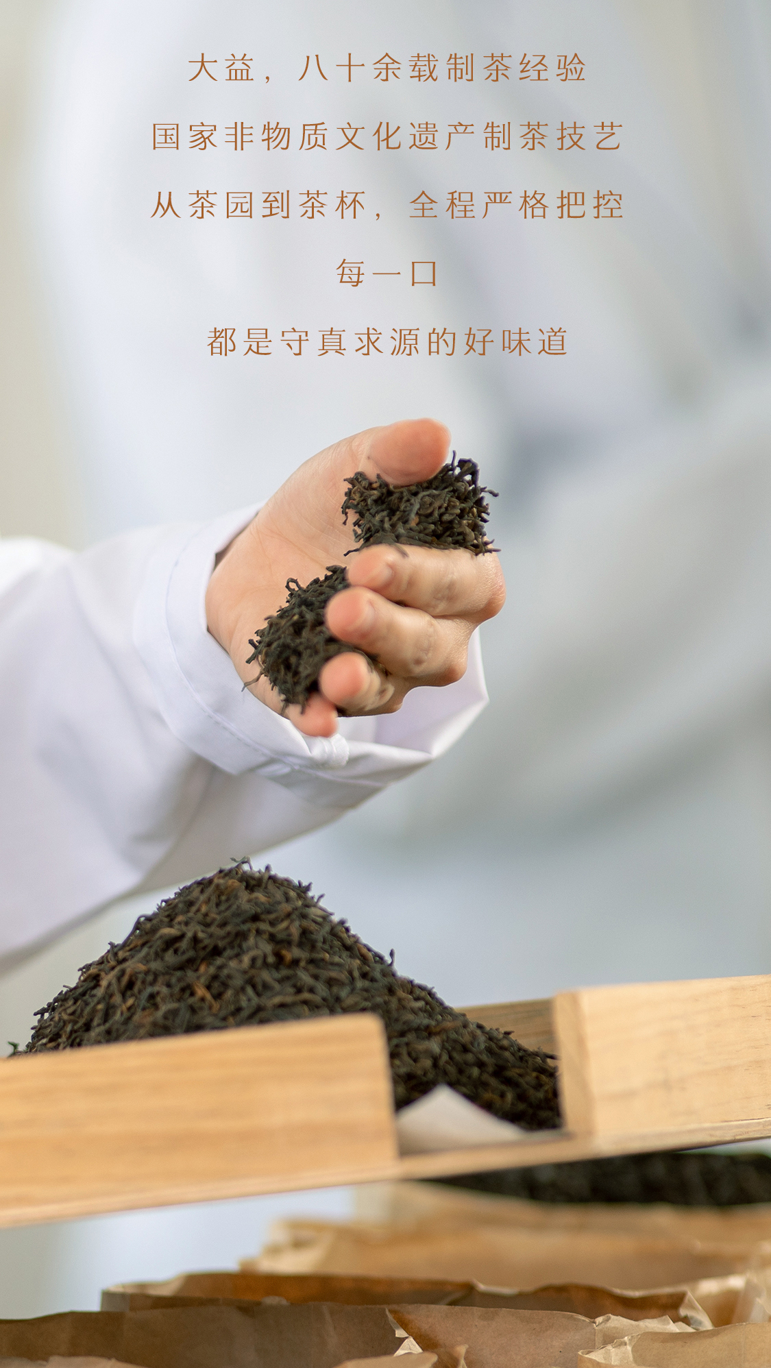 源知味生饼Source-Knows-Taste-Raw-Tea-2301-(Detail-Page详情页)(CN-中文)_03