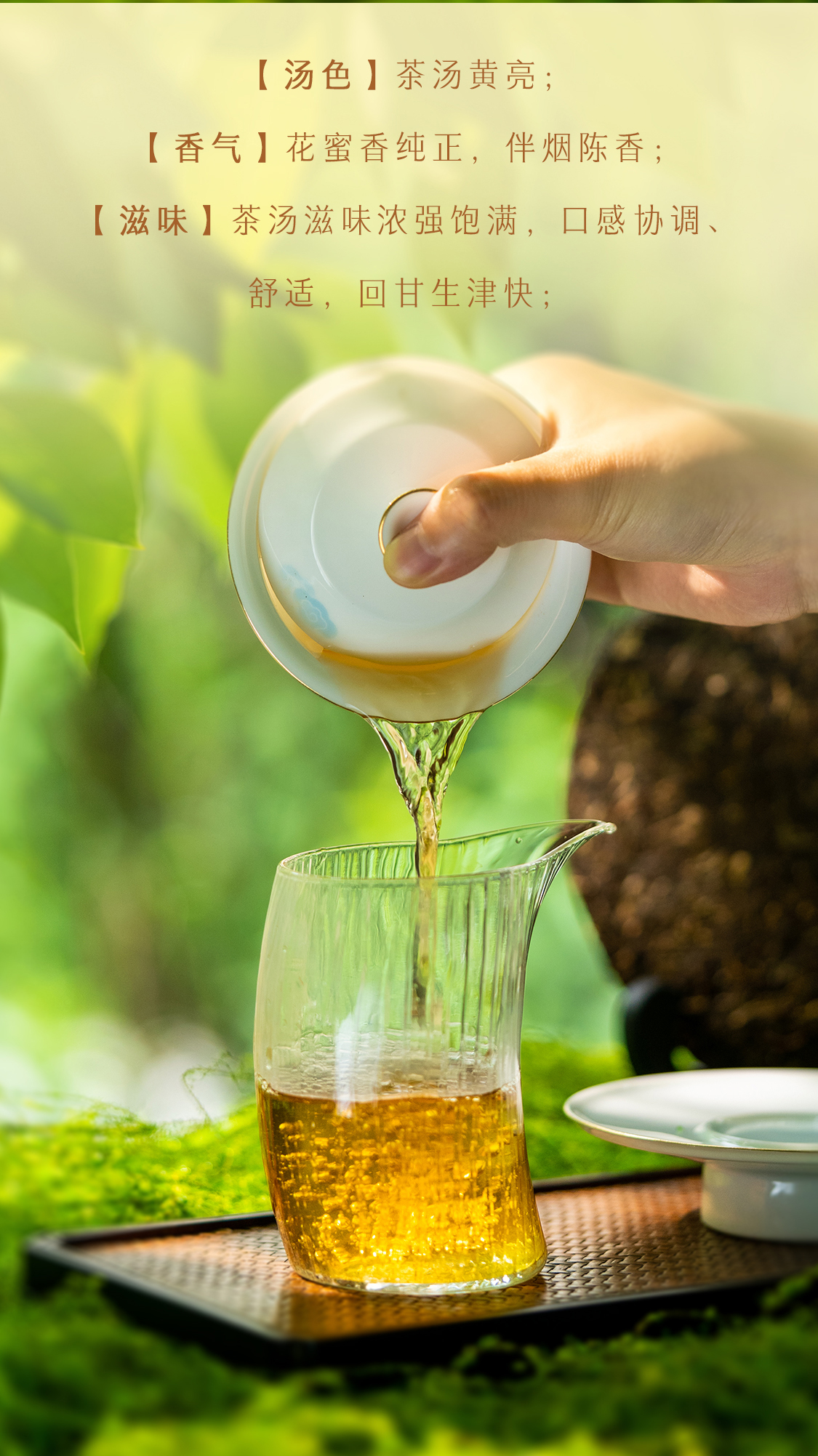 源知味生饼Source-Knows-Taste-Raw-Tea-2301-(Detail-Page详情页)(CN-中文)_05