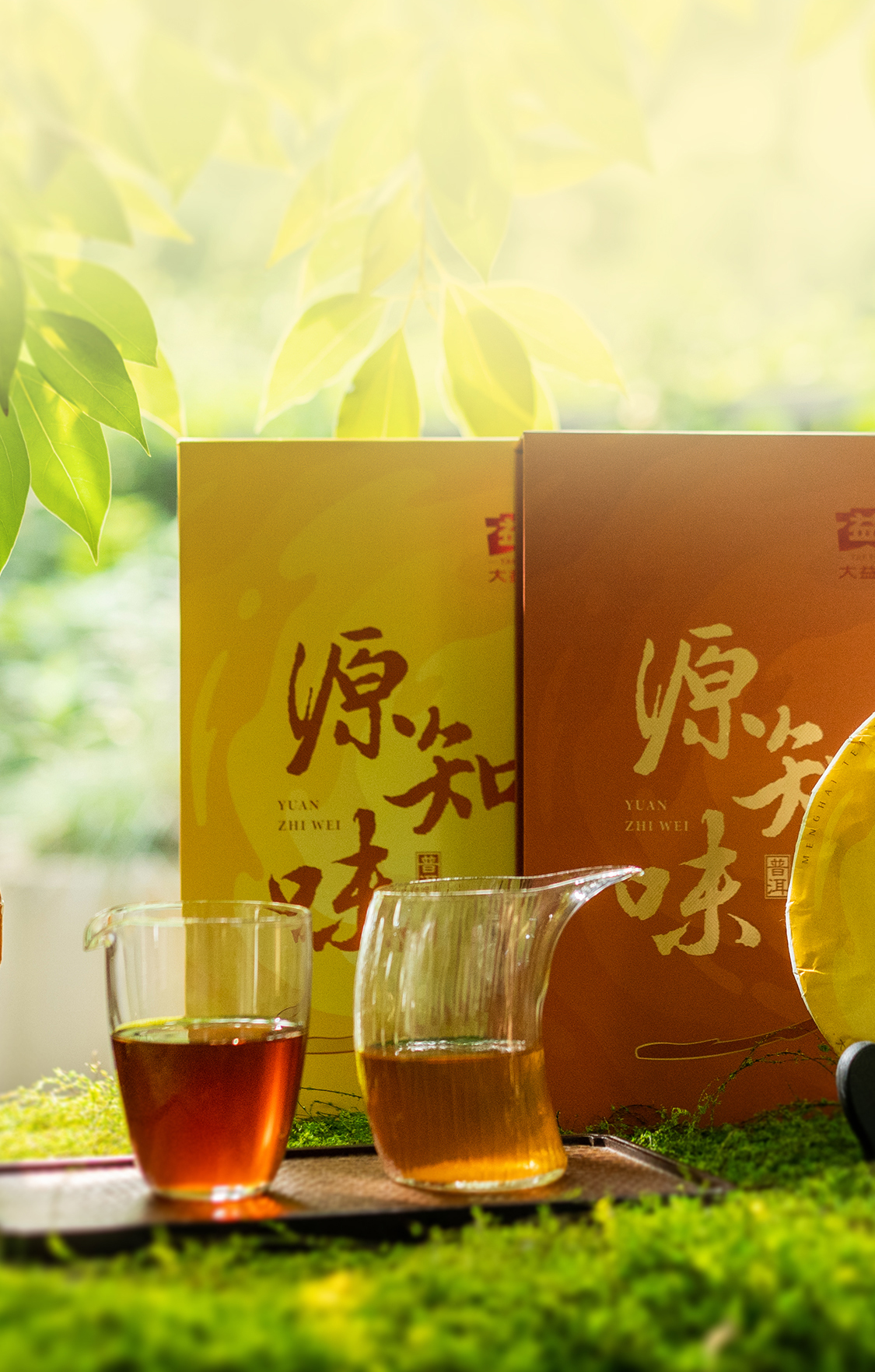 源知味生饼Source-Knows-Taste-Raw-Tea-2301-(Detail-Page详情页)(CN-中文)_08