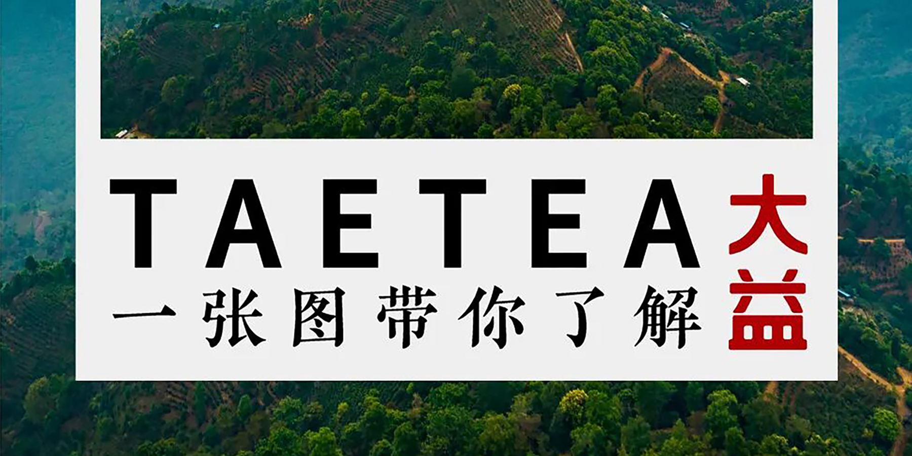 一张图带你了解大益