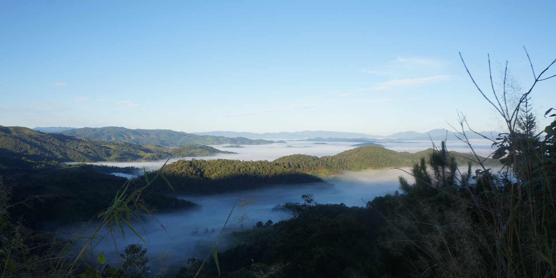 28张美图，带你走进大益茶源高山云雾生态秘境