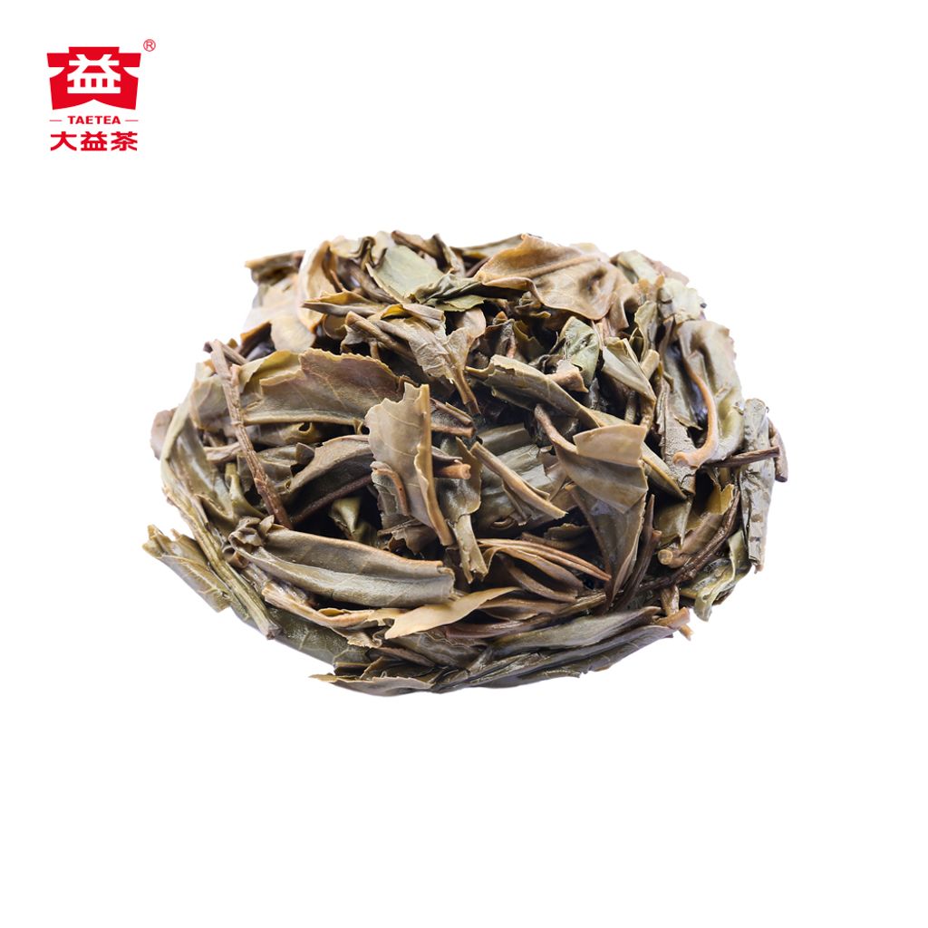 357g-乔木圆茶--2201-（正面）(1000x1000)-6