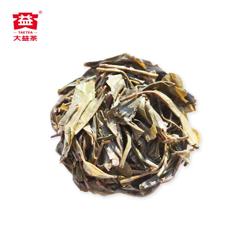 357g-8582-2301-（正面）(1000x1000)-6