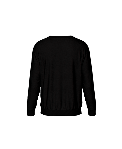 Vneck Sweatshirt Back 1