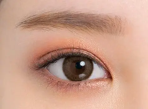 800x (2)