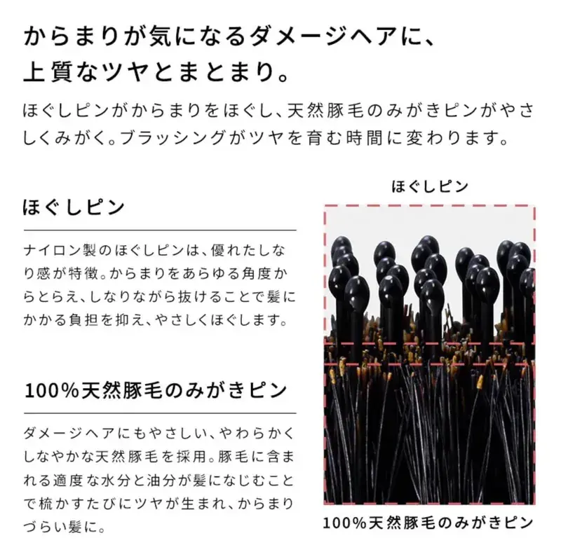 800x (24)