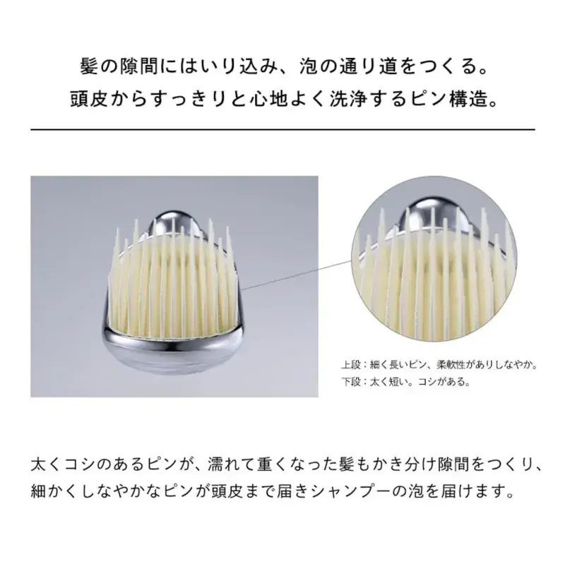 800x (53)