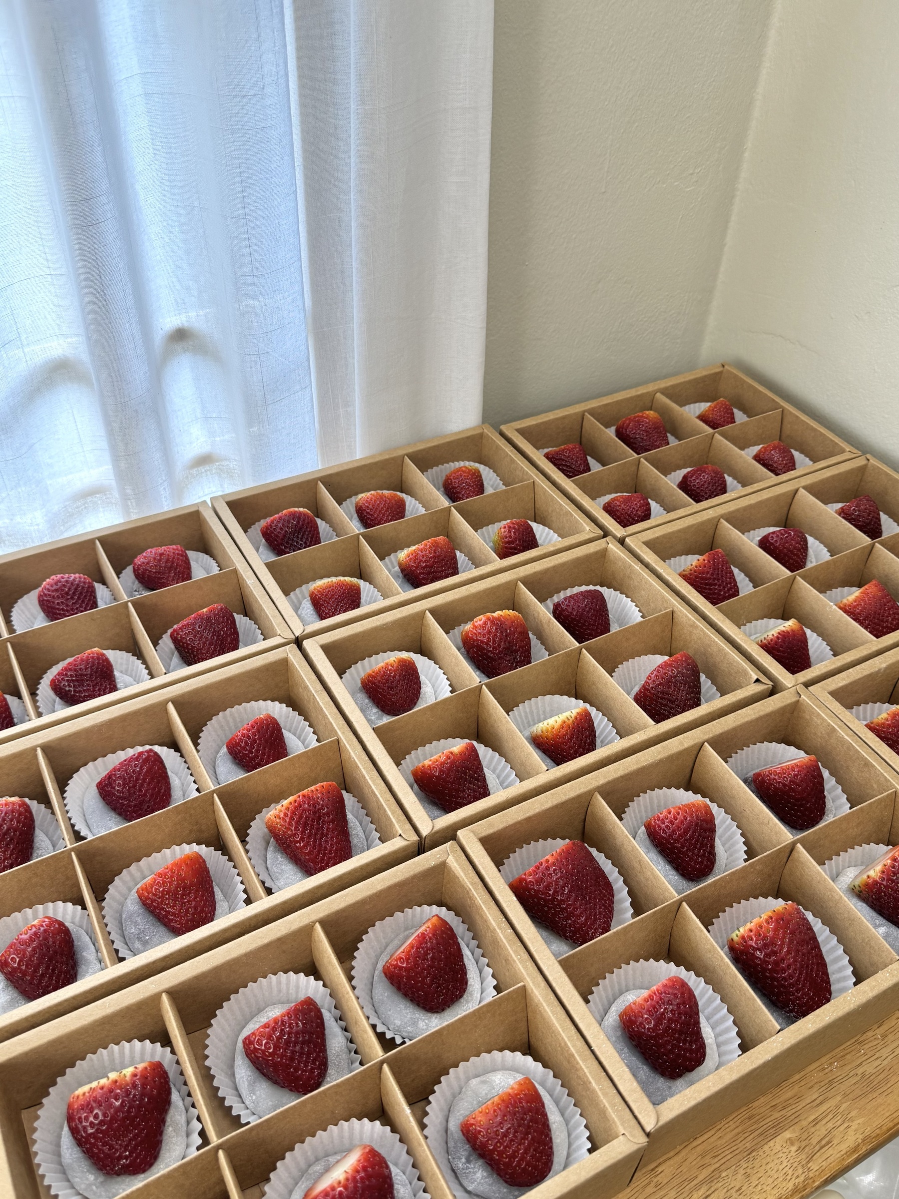 image_D8A6797D-8CBD-4ABD-817A-8B9CB343EF23_1776860288