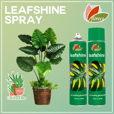 leafshine spray_PM