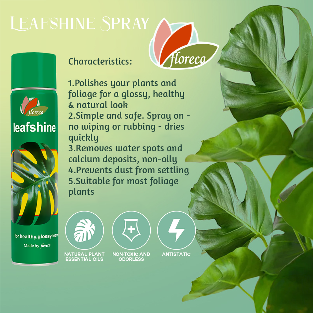 leafshine (4)