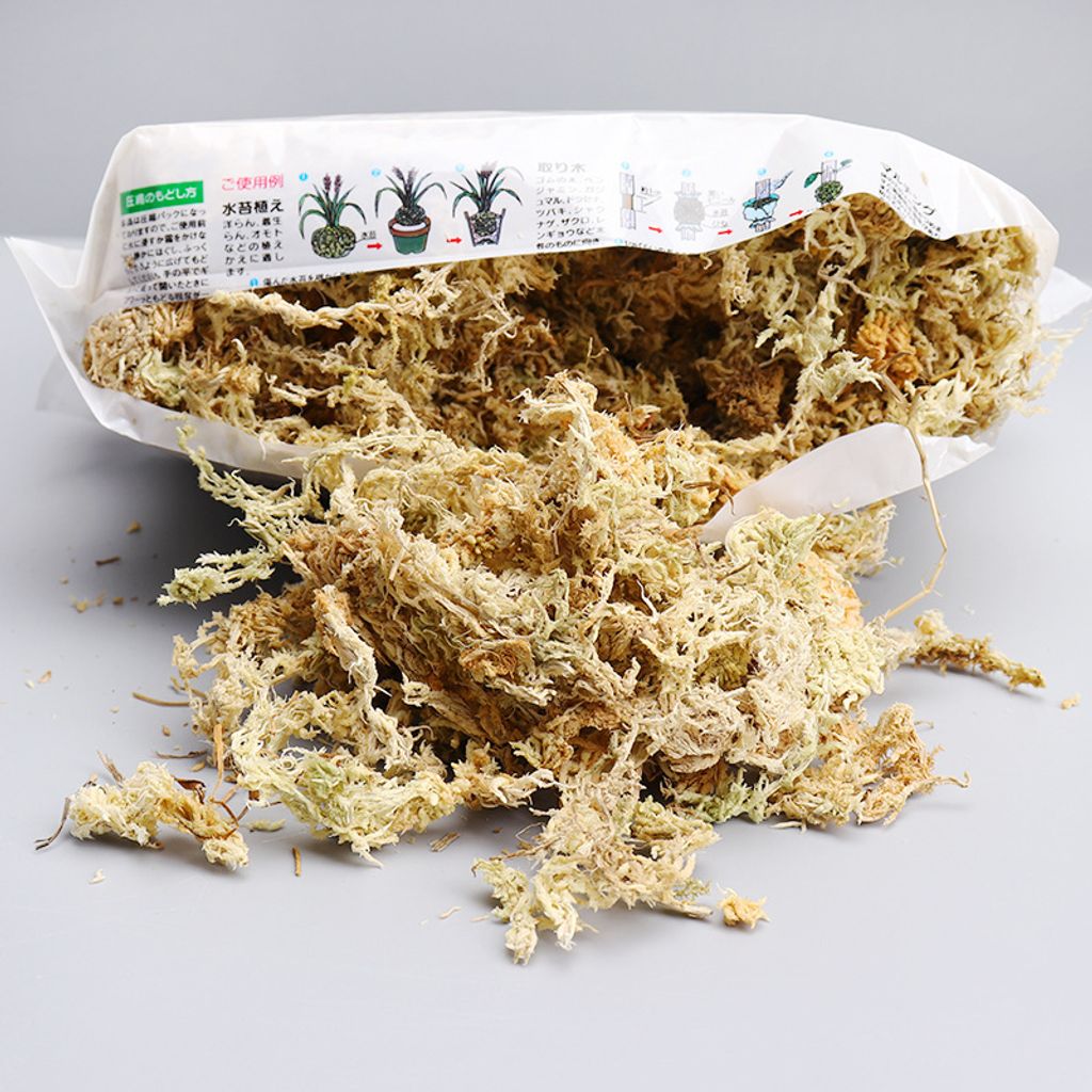 Sphagnum Moss 0 (18)